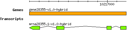 gene28355-v1.0-hybrid.png