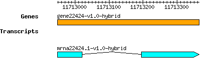 gene22424-v1.0-hybrid.png