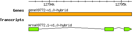 gene09772-v1.0-hybrid.png