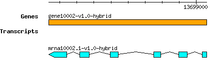 gene10002-v1.0-hybrid.png