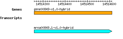 gene00849-v1.0-hybrid.png