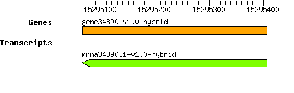 gene34890-v1.0-hybrid.png