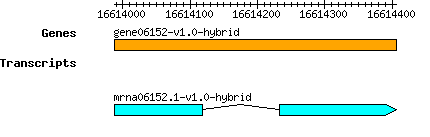 gene06152-v1.0-hybrid.png