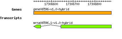 gene06596-v1.0-hybrid.png