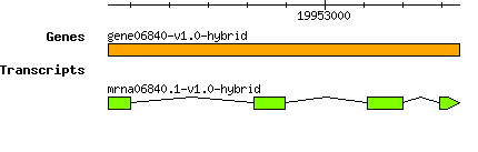 gene06840-v1.0-hybrid.png