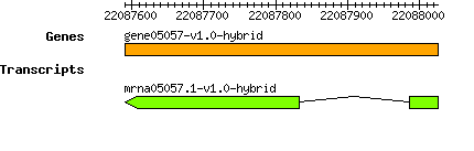 gene05057-v1.0-hybrid.png