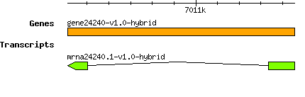gene24240-v1.0-hybrid.png