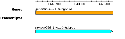 gene00526-v1.0-hybrid.png
