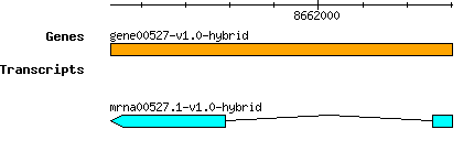 gene00527-v1.0-hybrid.png