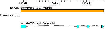 gene10855-v1.0-hybrid.png