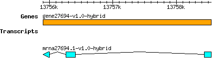 gene27694-v1.0-hybrid.png