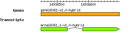 gene16061-v1.0-hybrid.png