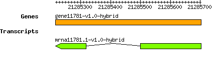 gene11781-v1.0-hybrid.png