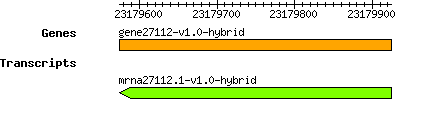 gene27112-v1.0-hybrid.png