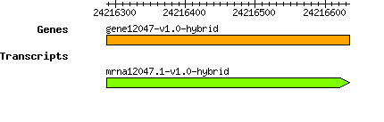 gene12047-v1.0-hybrid.png