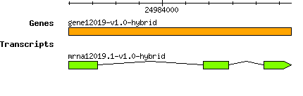 gene12019-v1.0-hybrid.png