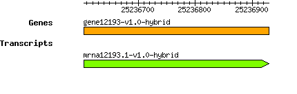 gene12193-v1.0-hybrid.png