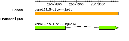 gene12315-v1.0-hybrid.png