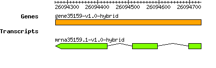 gene35159-v1.0-hybrid.png