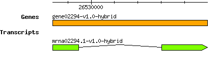 gene02294-v1.0-hybrid.png