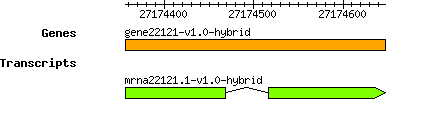 gene22121-v1.0-hybrid.png