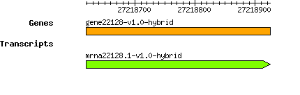 gene22128-v1.0-hybrid.png