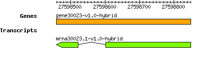 gene30023-v1.0-hybrid.png