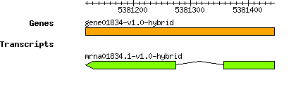 gene01834-v1.0-hybrid.png