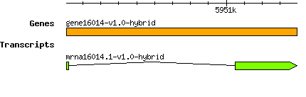 gene16014-v1.0-hybrid.png
