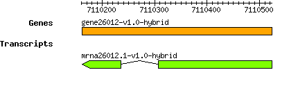 gene26012-v1.0-hybrid.png