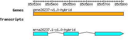 gene26237-v1.0-hybrid.png