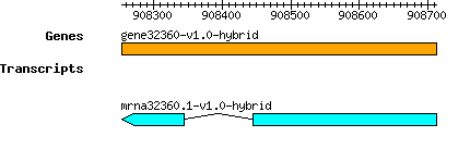 gene32360-v1.0-hybrid.png