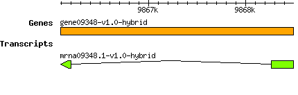 gene09348-v1.0-hybrid.png