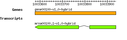 gene00100-v1.0-hybrid.png