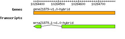 gene21879-v1.0-hybrid.png