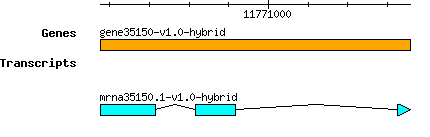 gene35150-v1.0-hybrid.png