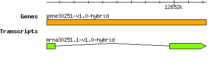 gene30251-v1.0-hybrid.png