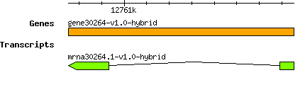 gene30264-v1.0-hybrid.png