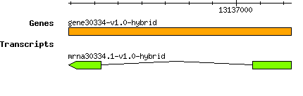 gene30334-v1.0-hybrid.png
