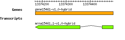 gene15461-v1.0-hybrid.png
