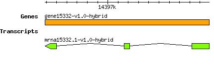 gene15332-v1.0-hybrid.png