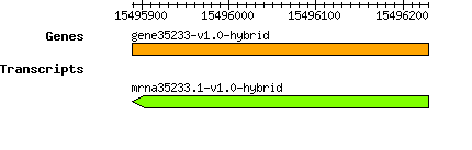 gene35233-v1.0-hybrid.png