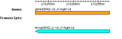 gene18042-v1.0-hybrid.png