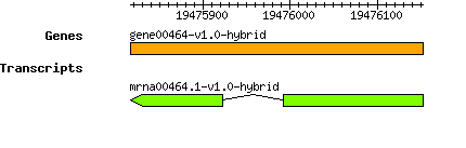gene00464-v1.0-hybrid.png