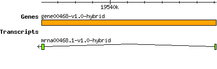 gene00468-v1.0-hybrid.png