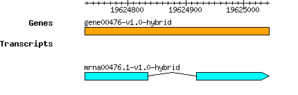 gene00476-v1.0-hybrid.png