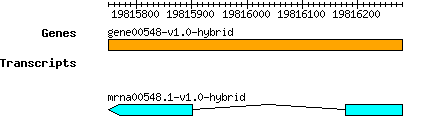 gene00548-v1.0-hybrid.png