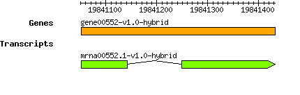 gene00552-v1.0-hybrid.png