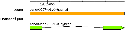 gene00557-v1.0-hybrid.png