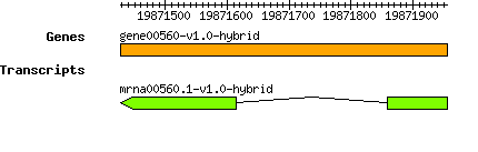 gene00560-v1.0-hybrid.png